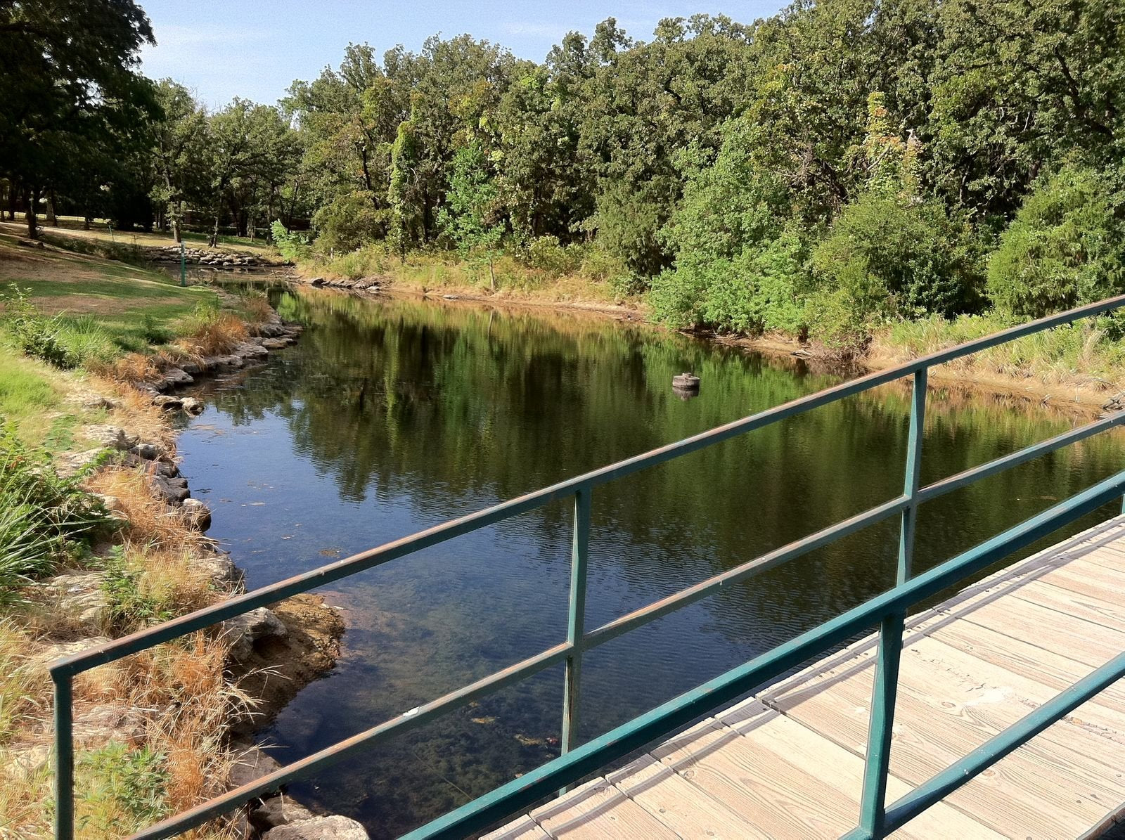 Healthy Ponds Blast in action during pond maintenance routines.