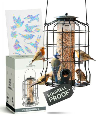 Hearts&Birds 360-degree perch feeder for peaceful, diverse bird visits.