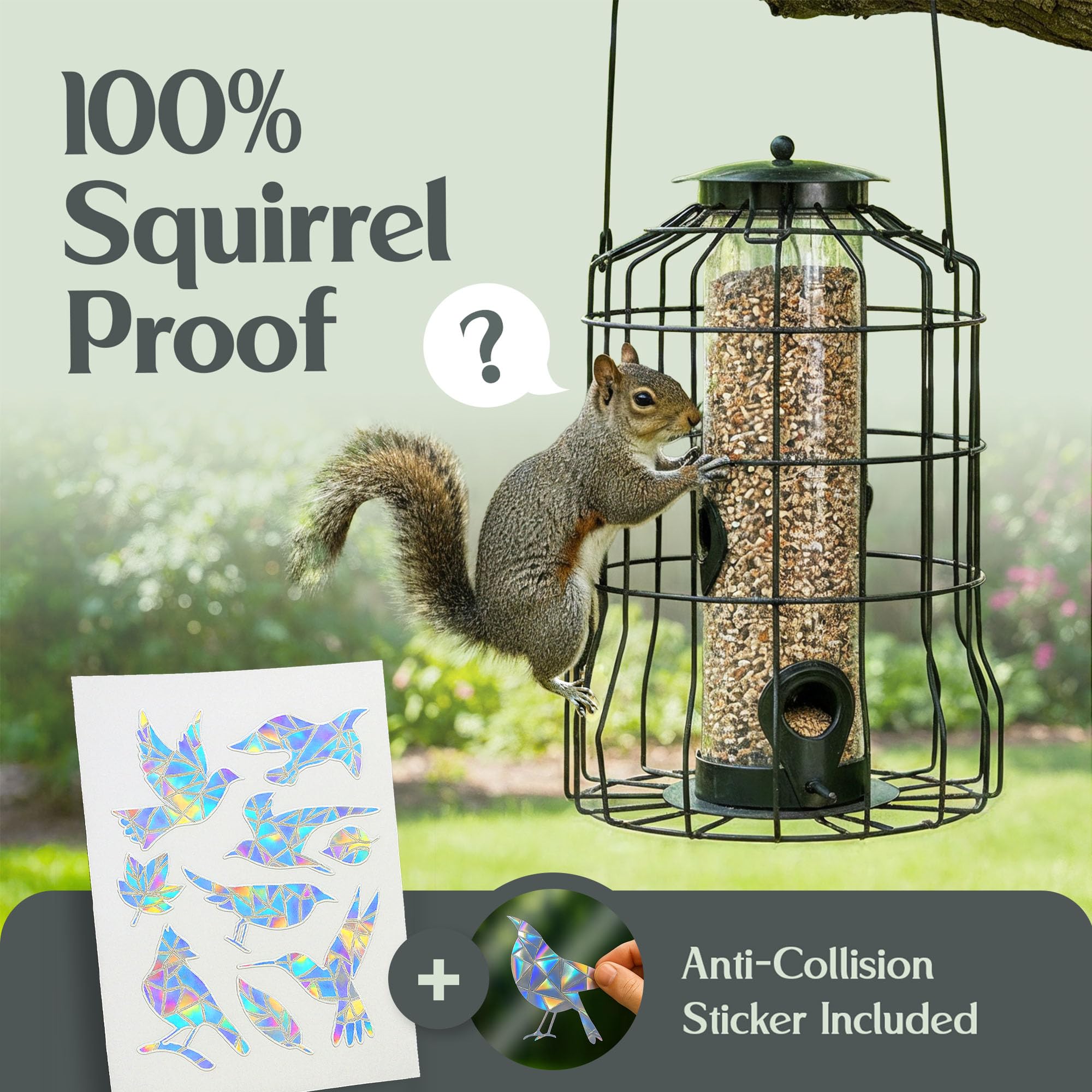 Hearts&Birds anti-collision stickers protect birds near glass.