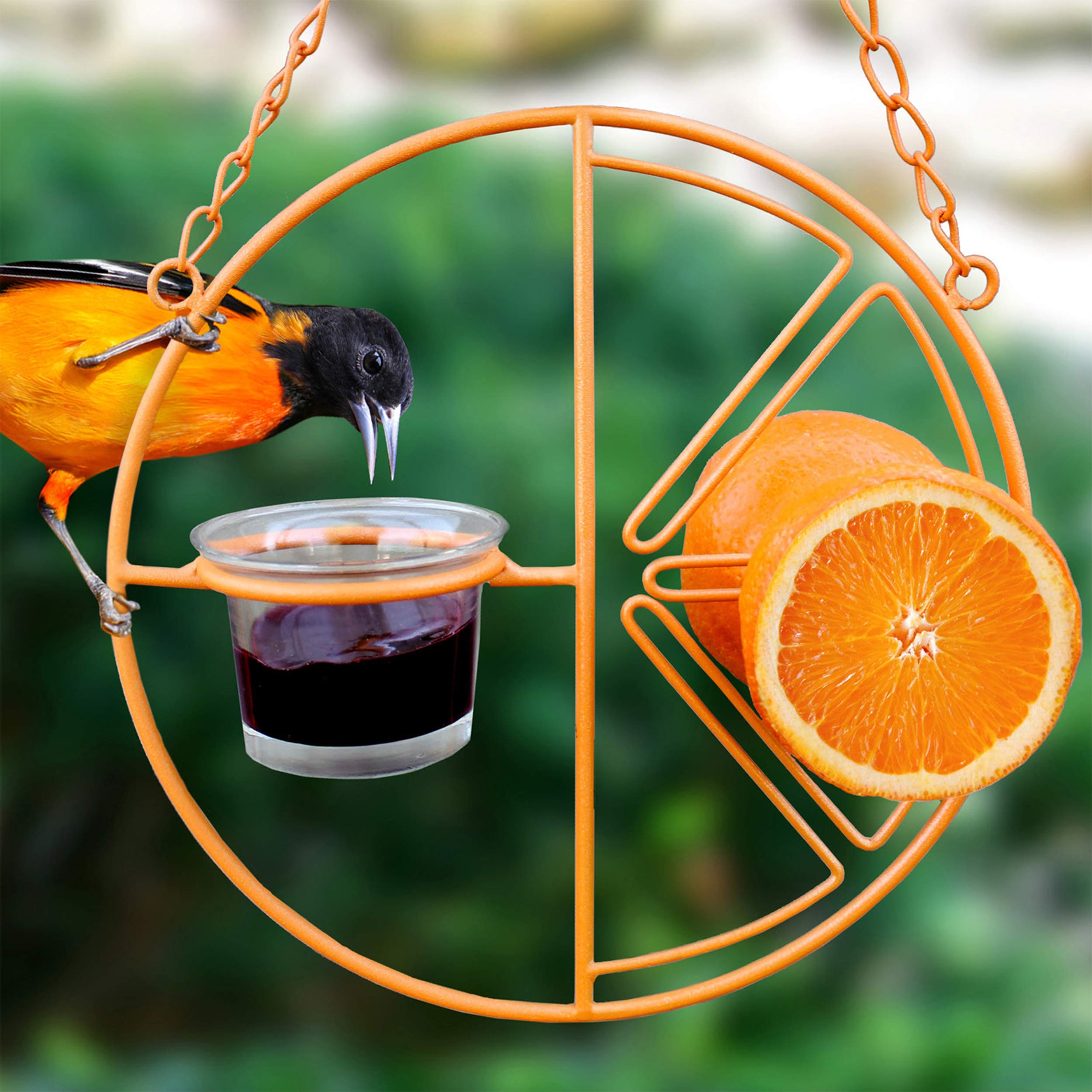 Removable glass cup on Heath CF-133 Clementine Oriole Feeder for easy cleaning.