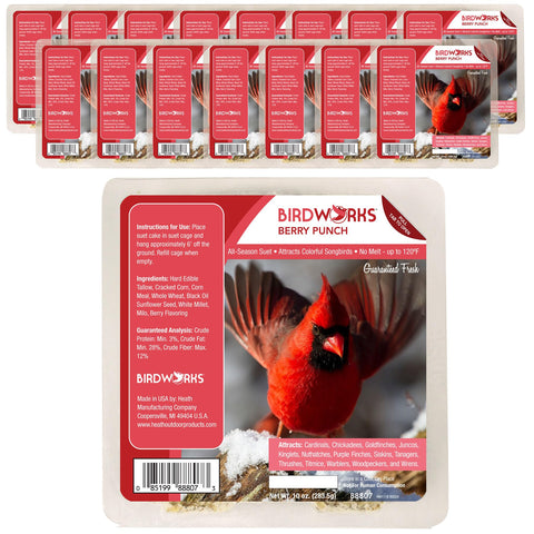 Heath Outdoor Berry No Mess Suet Cakes 16-pack ready for year-round feeding.