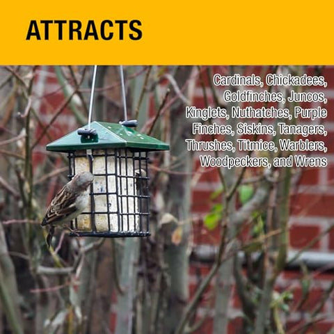 Heath Outdoor Berry No Mess Suet Cakes attract diverse backyard birds.