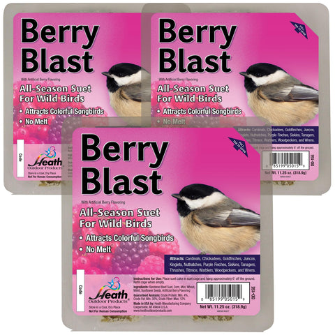 Heath Outdoor Berry Blast Suet Cakes 3-pack for year-round bird feeding with no-melt formula.