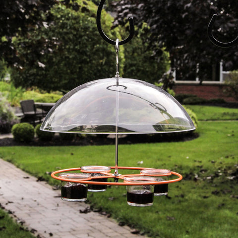 Heath CF-135 oriole feeder with clear dome baffle for weather protection and viewing.