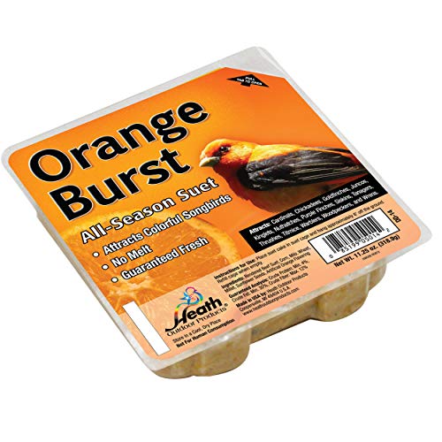 Closeup of Heath Orange Burst suet cake showing seeds and orange flavor.