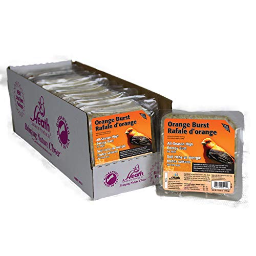 Heath Orange Burst suet cake with corn and seeds attracts colorful songbirds.