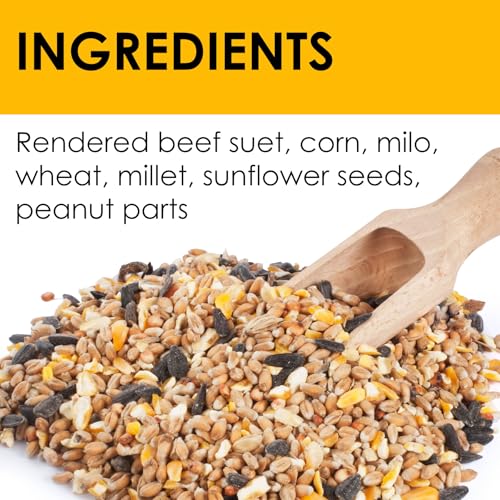 Close-up of peanut crunch mix highlighting corn, seeds, and energy-rich bits.