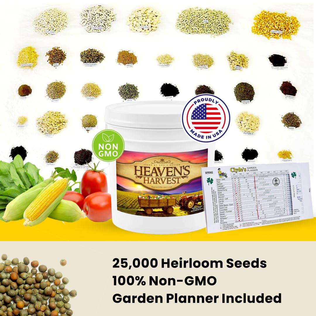 Non-GMO open-pollinated seeds from Heaven's Harvest ready for year-to-year planting.