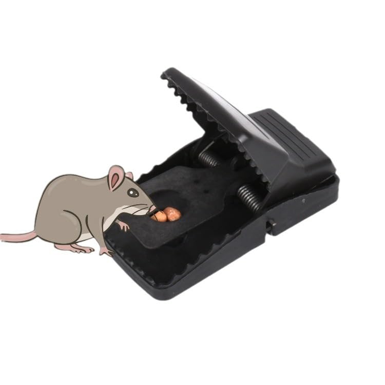 Heavy-duty mouse traps spring-mechanism: reliable, reusable pest control indoors.
