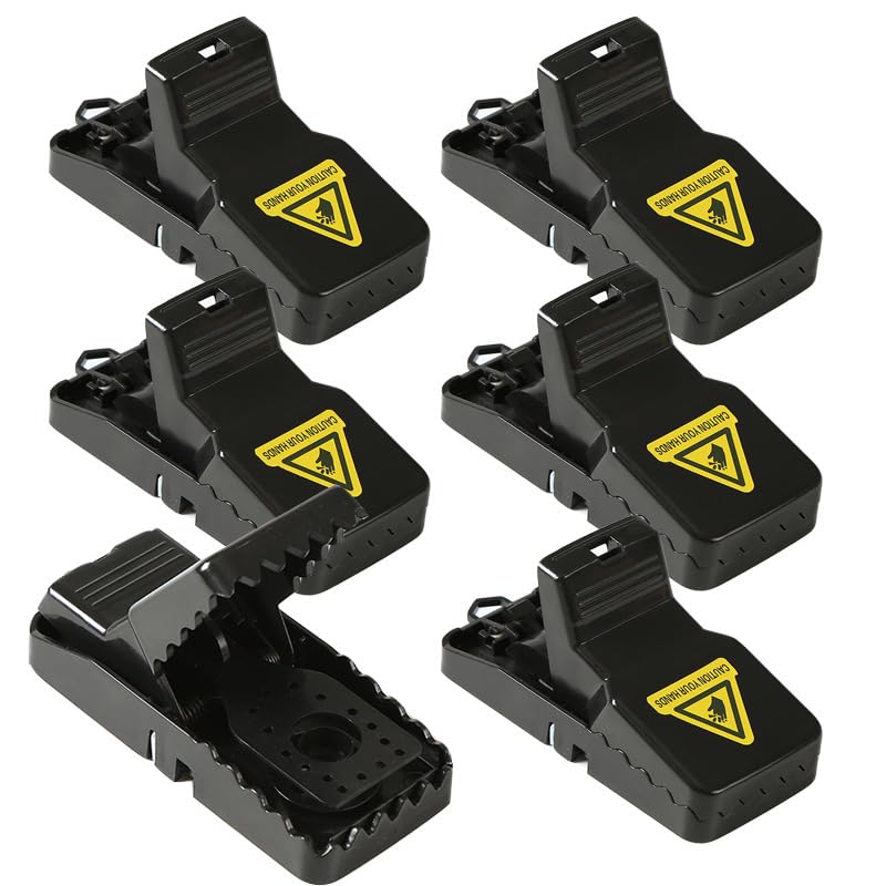 Heavy-duty mouse traps trap-setup: quick capture in basements and garages.