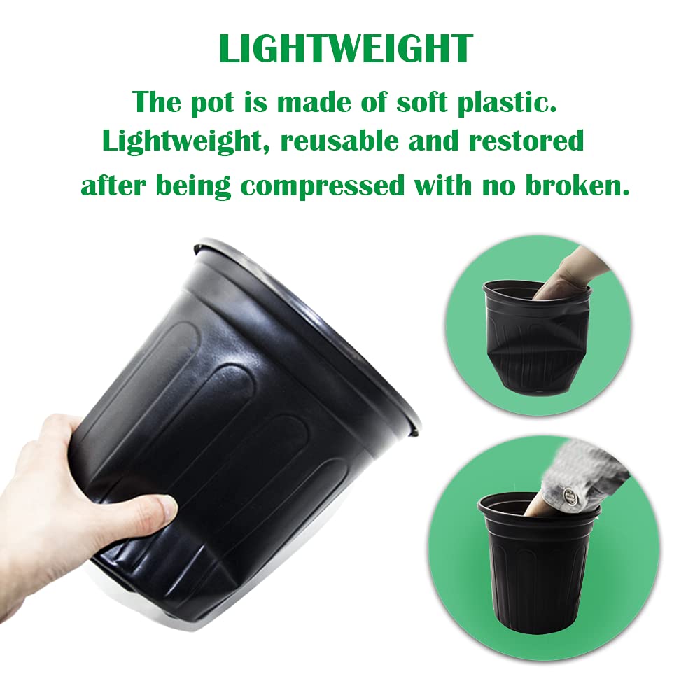HECTOLIFE propagation pot ideal for succulents and seedling use