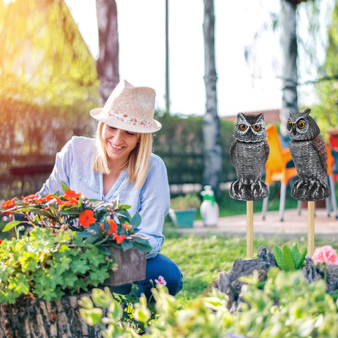 Hedoc 2-pack fake owl decoys hand-painted vivid color for lifelike appeal