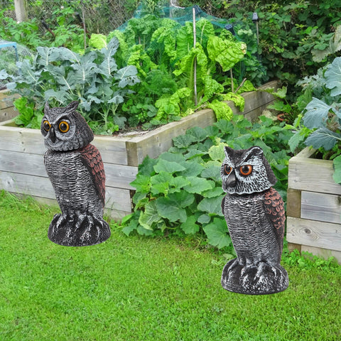Hedoc fake owl decoys realistic eye detail for humane pest deterrence
