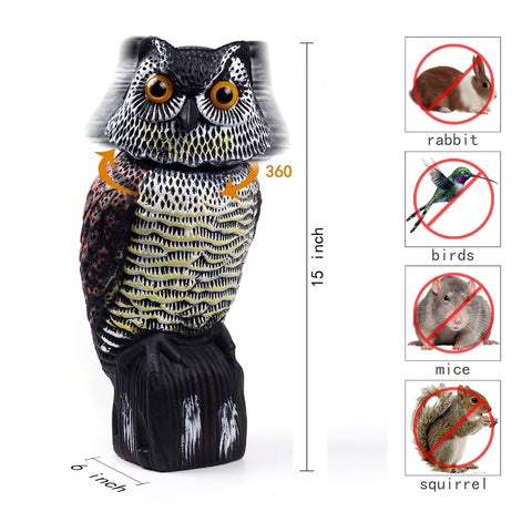 Hedoc fake owl scarecrow protects gardens from pigeons and squirrels