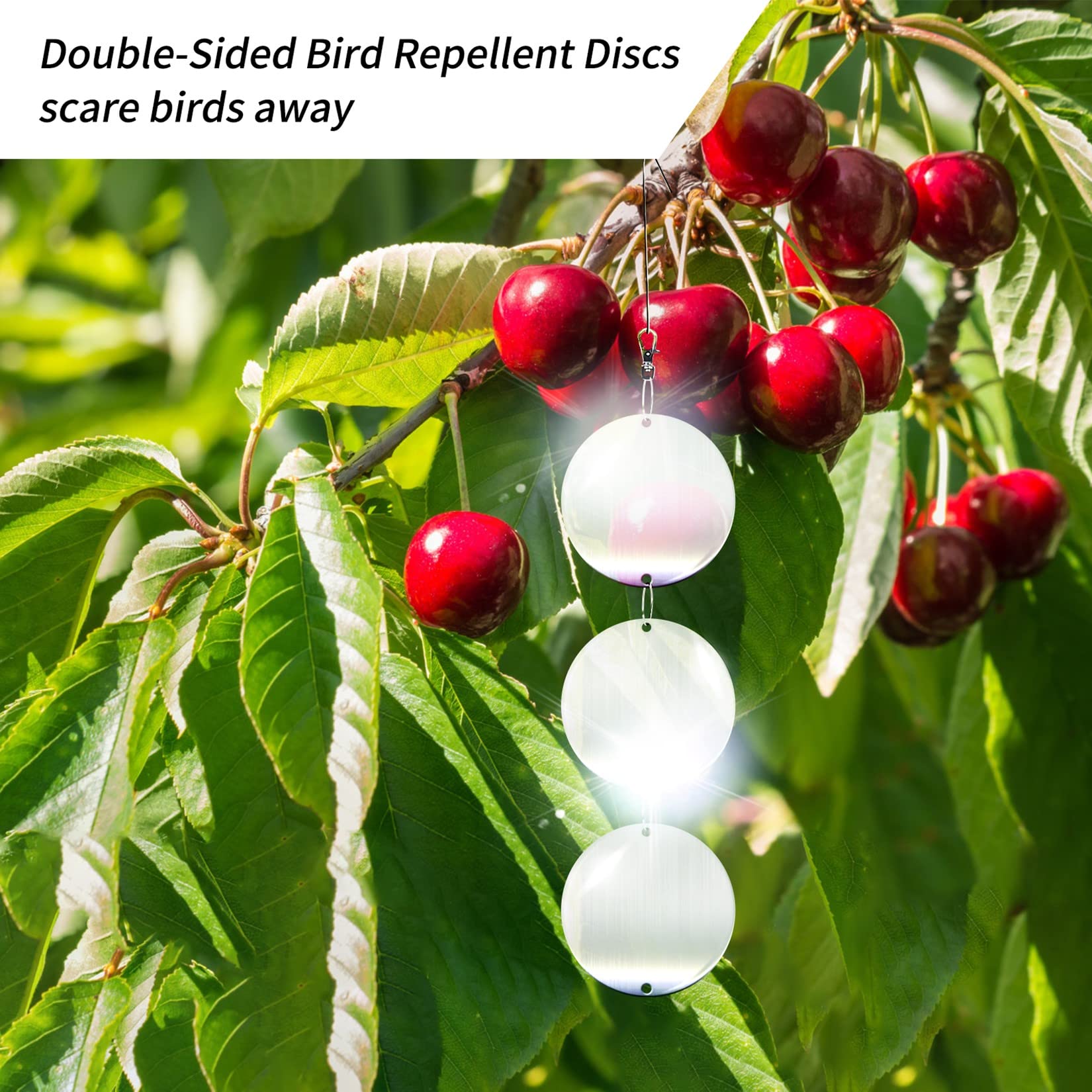 Hedoc Reflective Bird Scare Disc 24pcs sun glint highlighting outdoor deterrence
