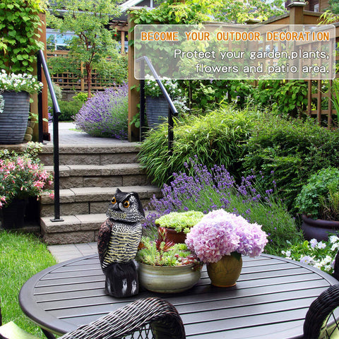 Hedoc weatherproof owl statue withstands rain and sun outdoors