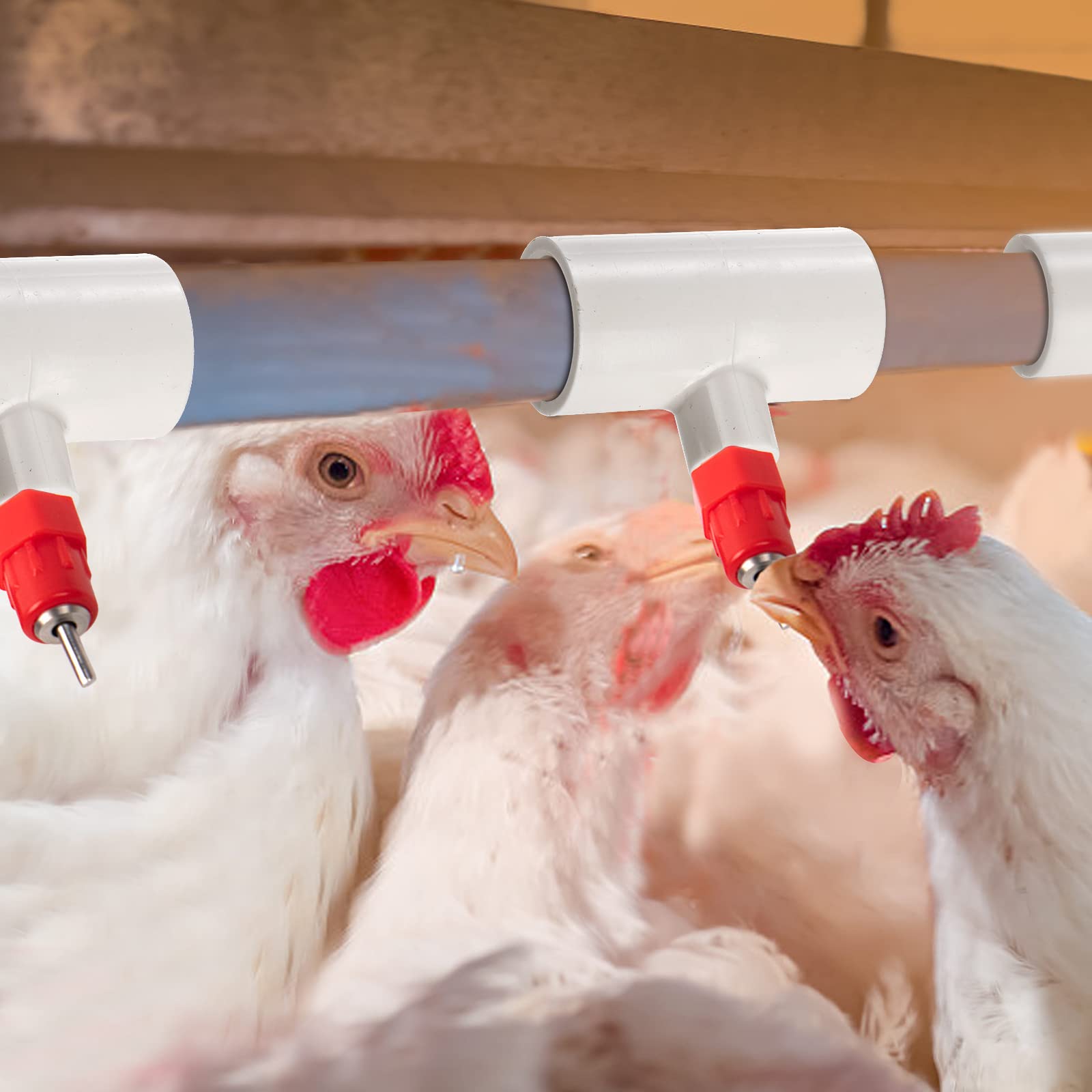 Hedume easy-install PVC tee fittings help set up waterers without drilling.