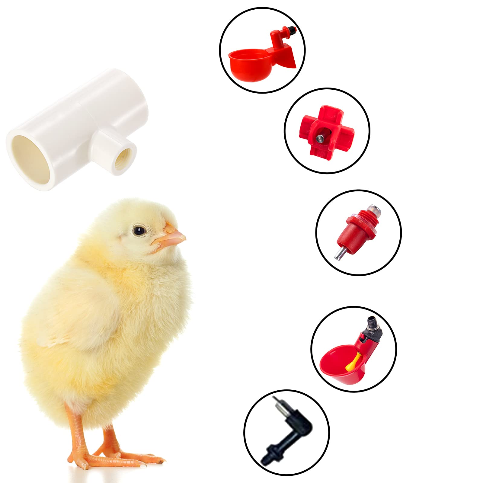 Hedume PVC tee fittings with threaded design promotes leak-free poultry drinking setups.