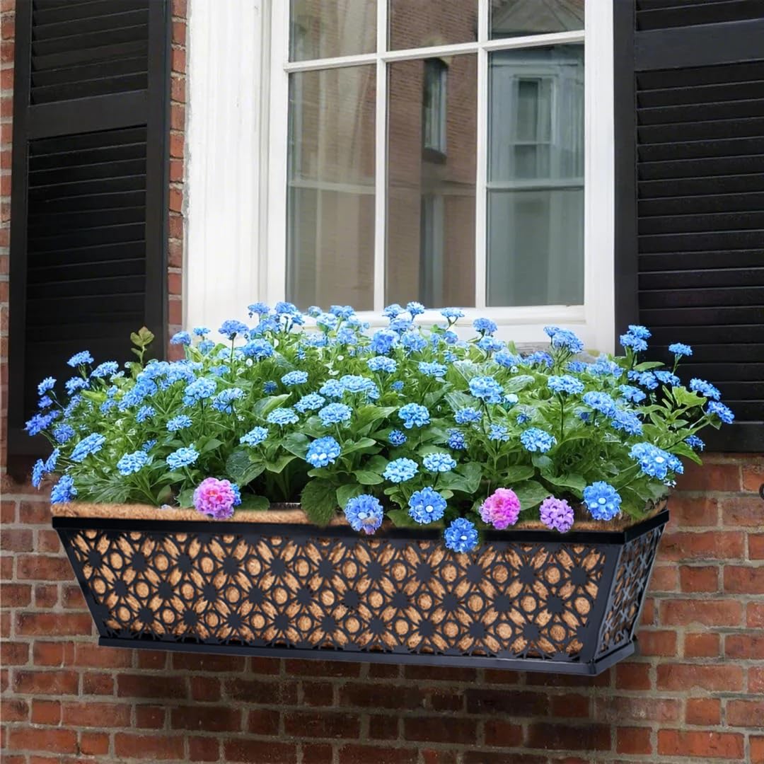 hehimhis spacious 24-inch box accommodates multiple plant varieties