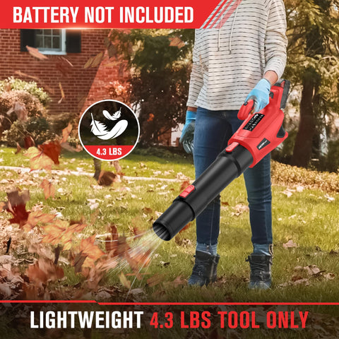 HEINPRO 5-speed modes adapt to tasks like blowing leaves or fine debris.