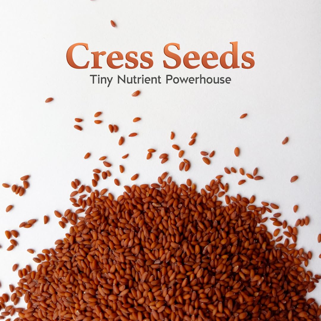 Hemani cress sprouts and microgreens ready to elevate salads and bowls.