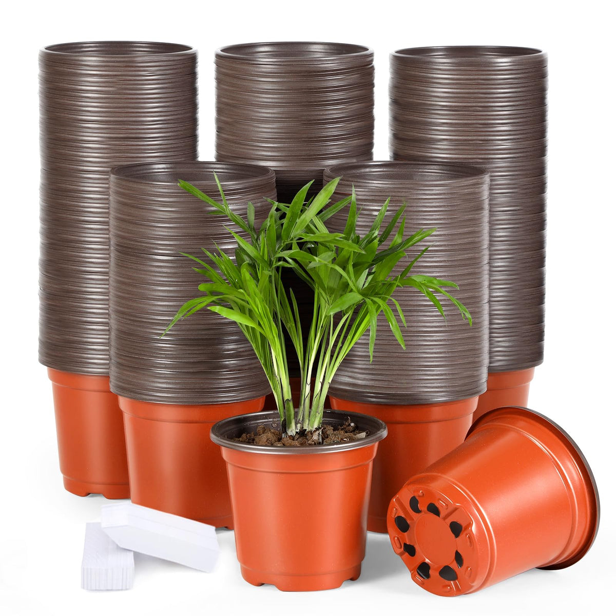 Hemikaki 4-inch plastic nursery pot with opening diameter ideal for seedling starts