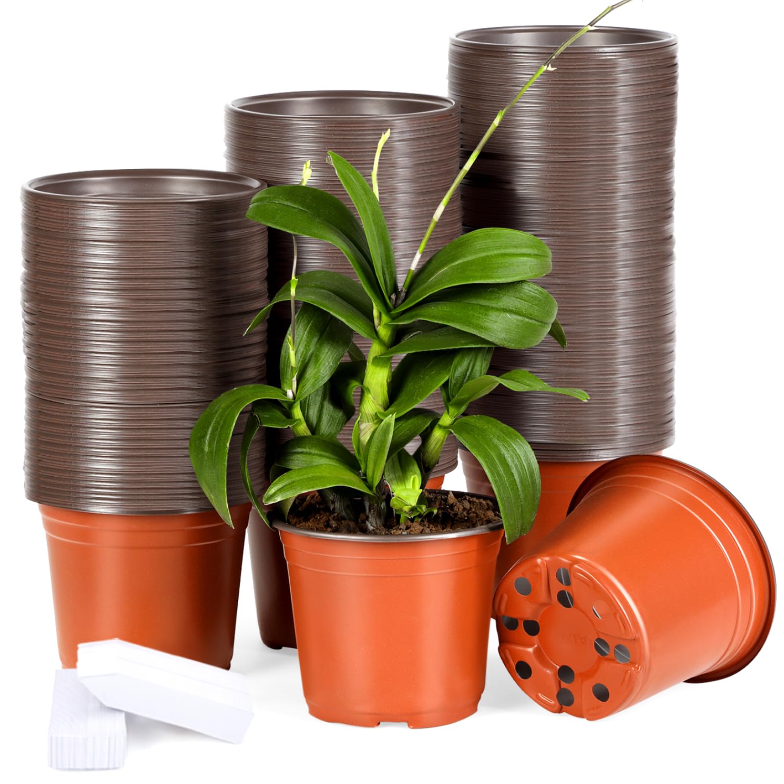 Hemikaki 6 inch plastic nursery pot with open top ideal for seedling care