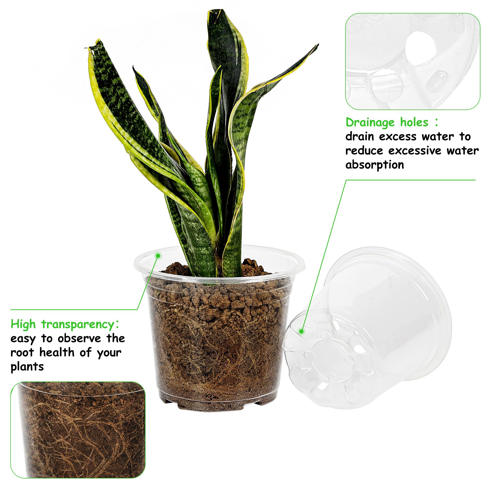 Hemikaki clear nursery pot 5 inch; transparent design for transplant readiness and drainage visibility.