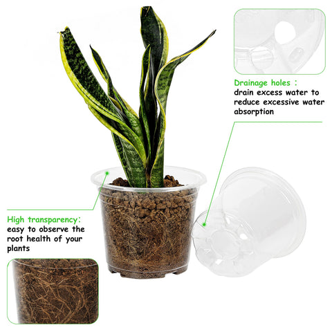 Hemikaki clear nursery pot 5 inch; transparent design for transplant readiness and drainage visibility.