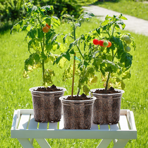 Hemikaki pot with drainage holes bottom; promotes drainage and plant breathing.