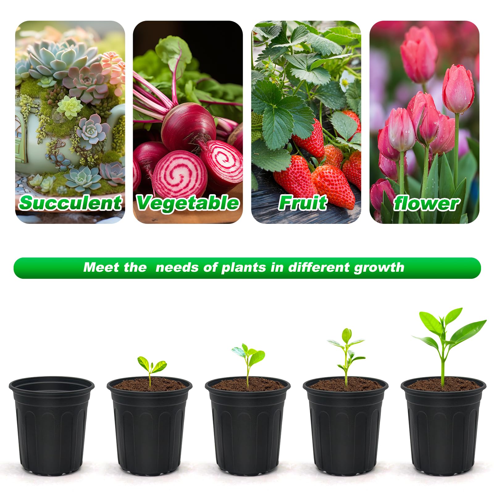 Hemikaki pots used indoors and outdoors for flexible display