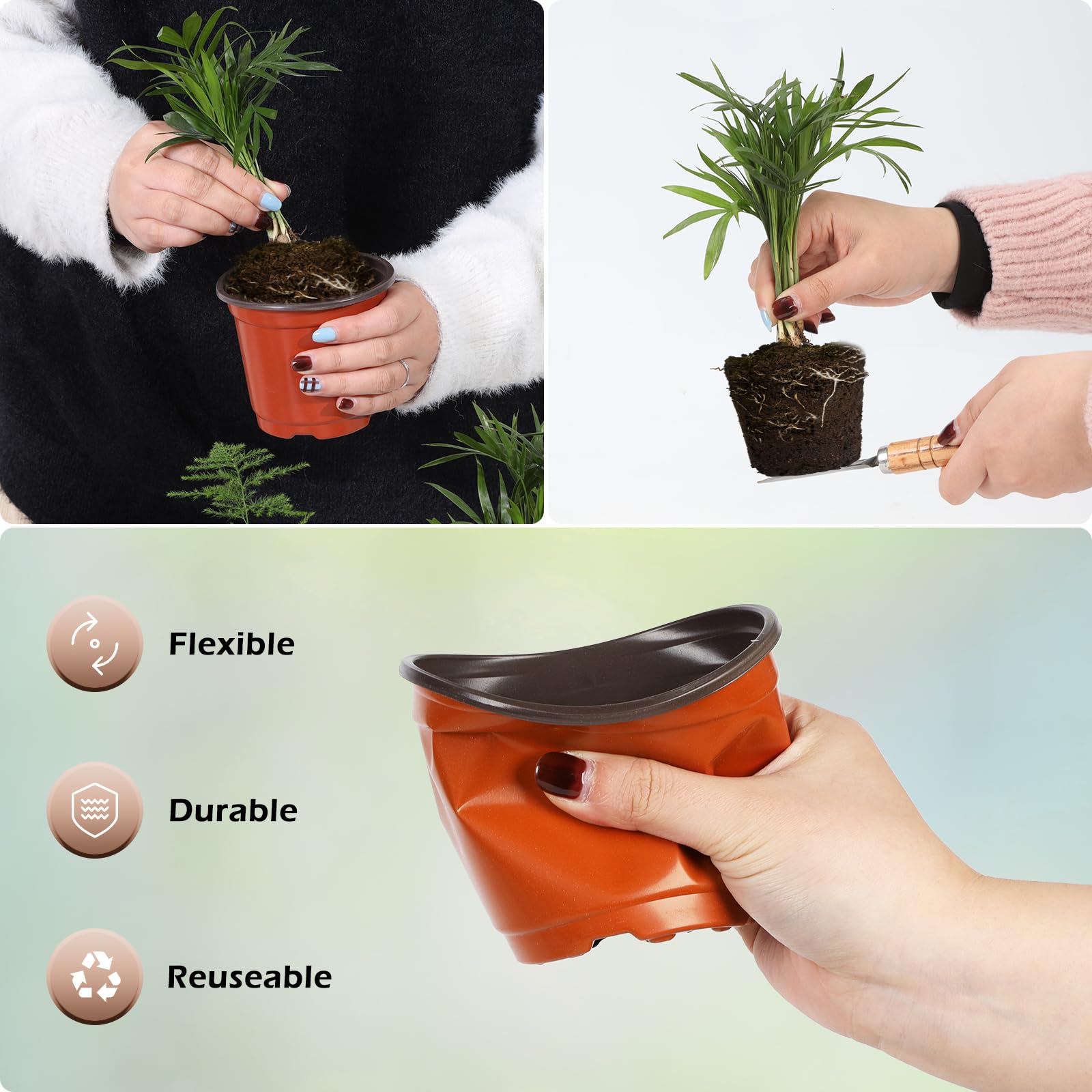 Hemikaki nursery pot drainage holes help prevent overwatering