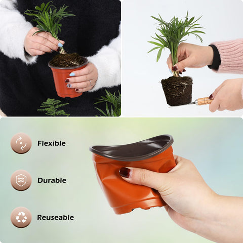 Hemikaki nursery pot drainage holes help prevent overwatering