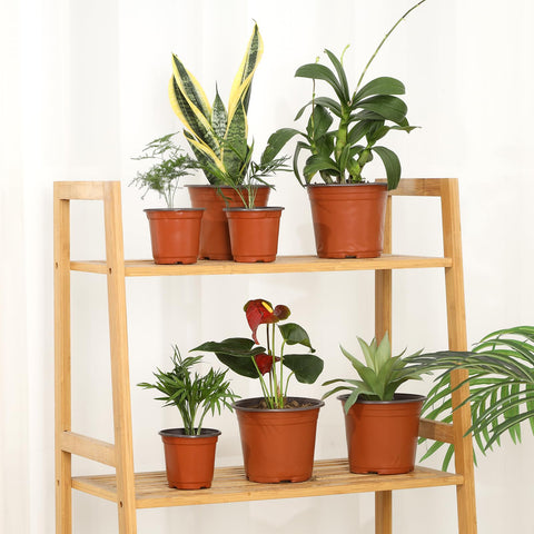 Hemikaki 200 pots and 200 labels packaged for efficient gardening