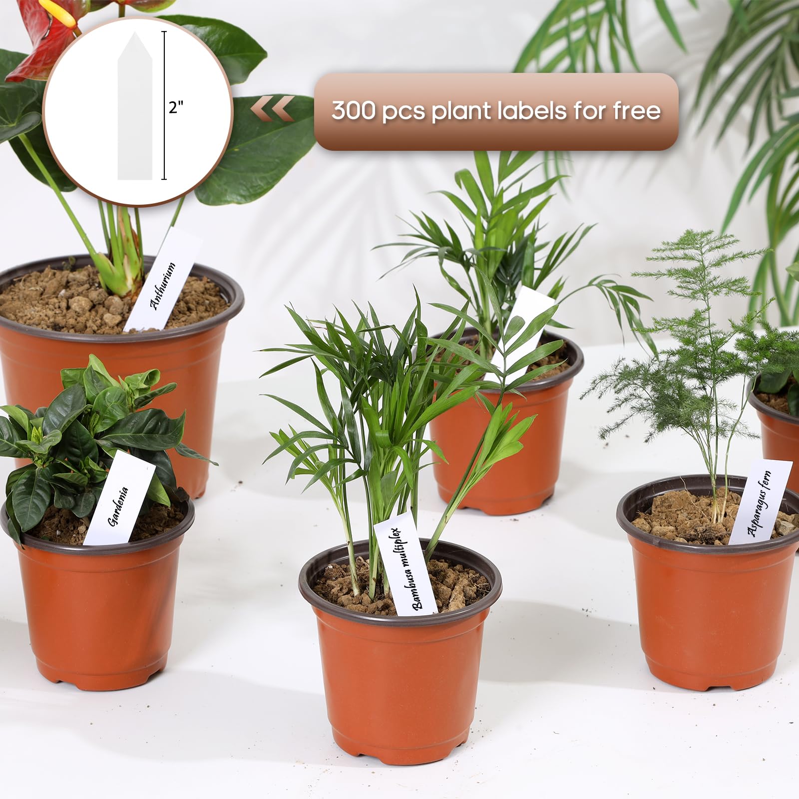 Hemikaki plant labels included for easy plant tracking