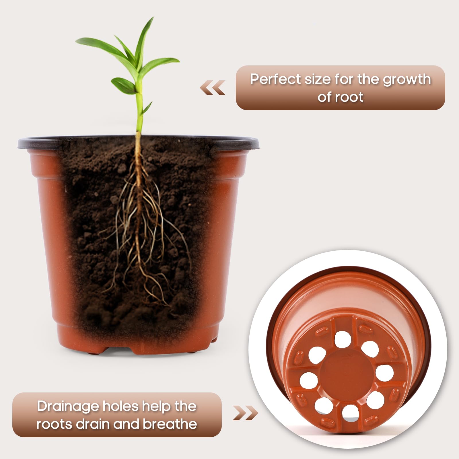 Hemikaki plant labels included help organize varieties and dates