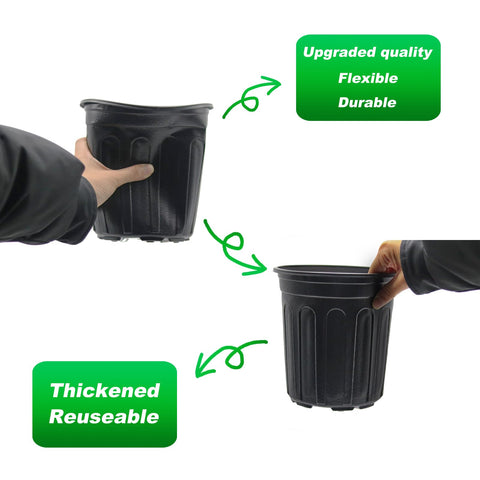 Included Hemikaki plant labels for labeling and tracking plants