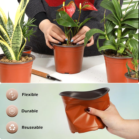 Hemikaki 6 inch opening size aids easy transplanting and spacing