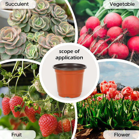 Hemikaki reusable, lightweight planters ideal for seedlings and herbs