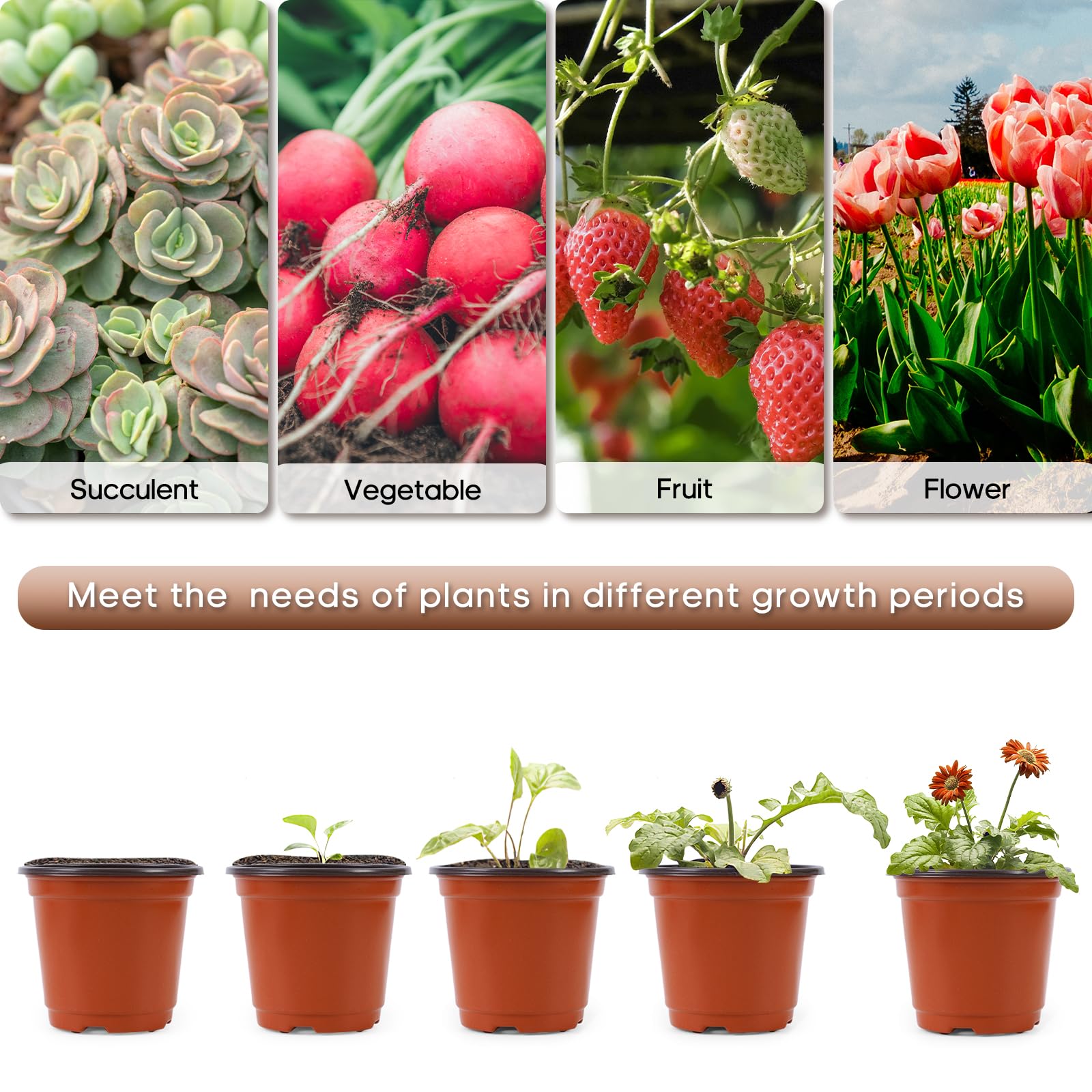 Hemikaki seedling-ready pot supports starting indoors or outdoors