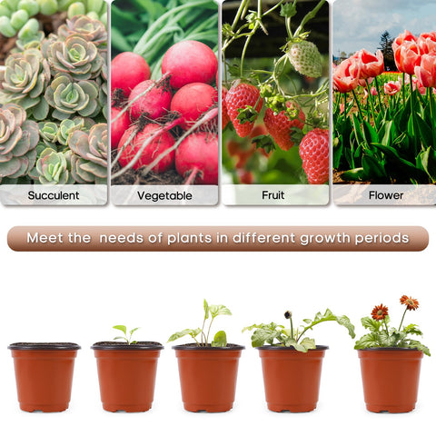 Hemikaki seedling-ready pot supports starting indoors or outdoors