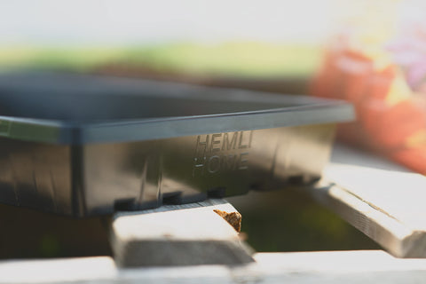 Hemlock Home Brewing 1020 trays 5-pack provides versatile growing options
