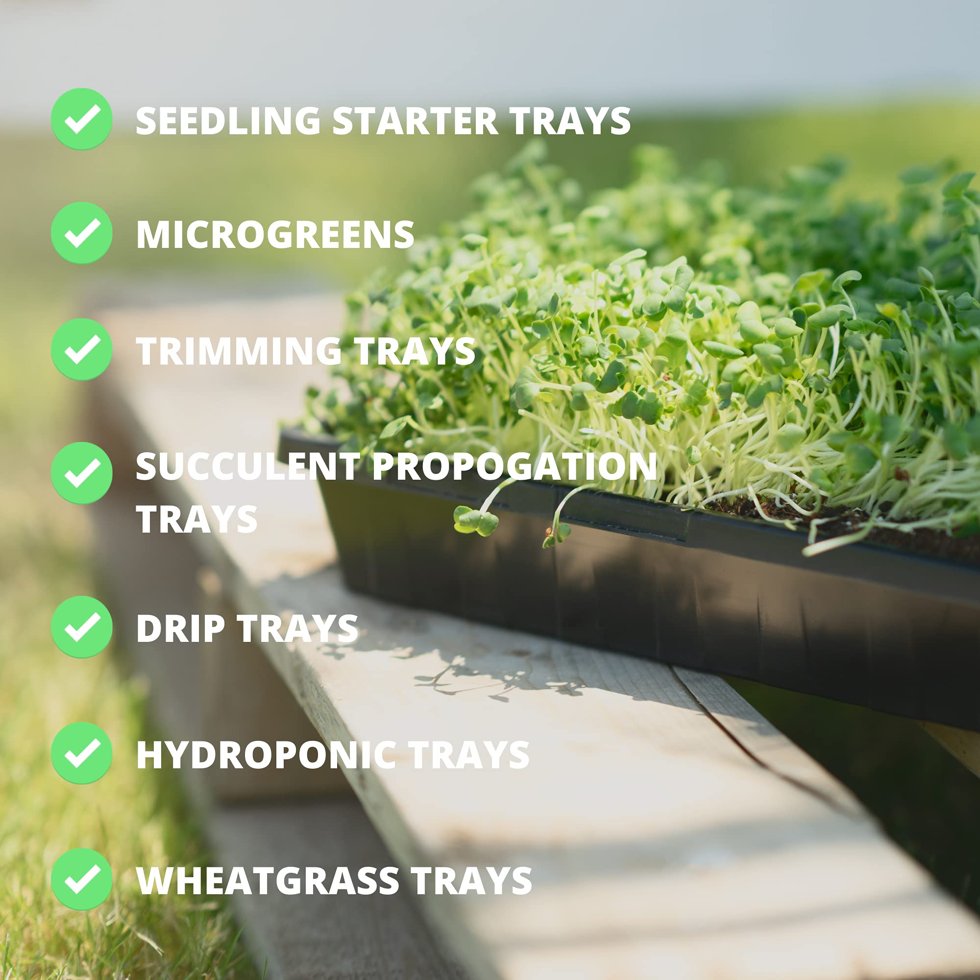 Hemlock Home Brewing 1020 trays ideal for microgreens and seedlings at home