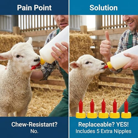 Hemoton Easy-to-Clean, Durable Farm Feeding Kit for routine use.