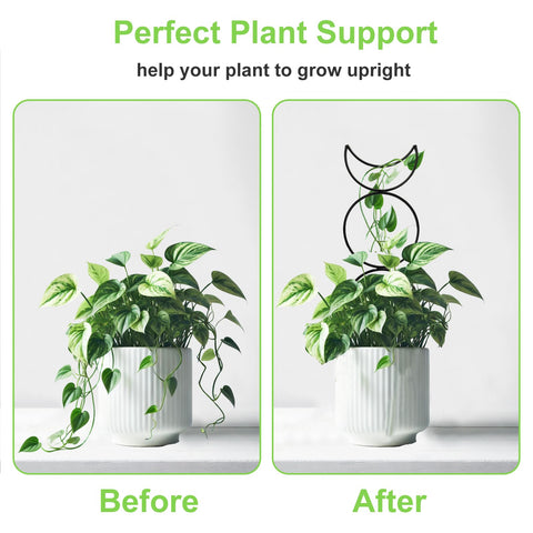 HENABLE plug-and-play trellis setup requires no tools for quick garden upgrade