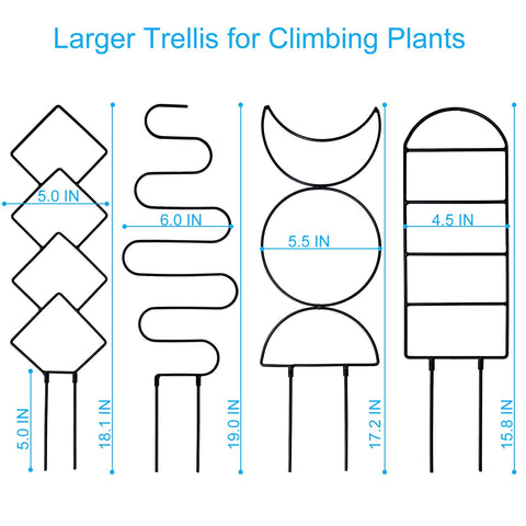 HENABLE Heighten Trellis-potted setup offers an eye-catching display with improved sun exposure.