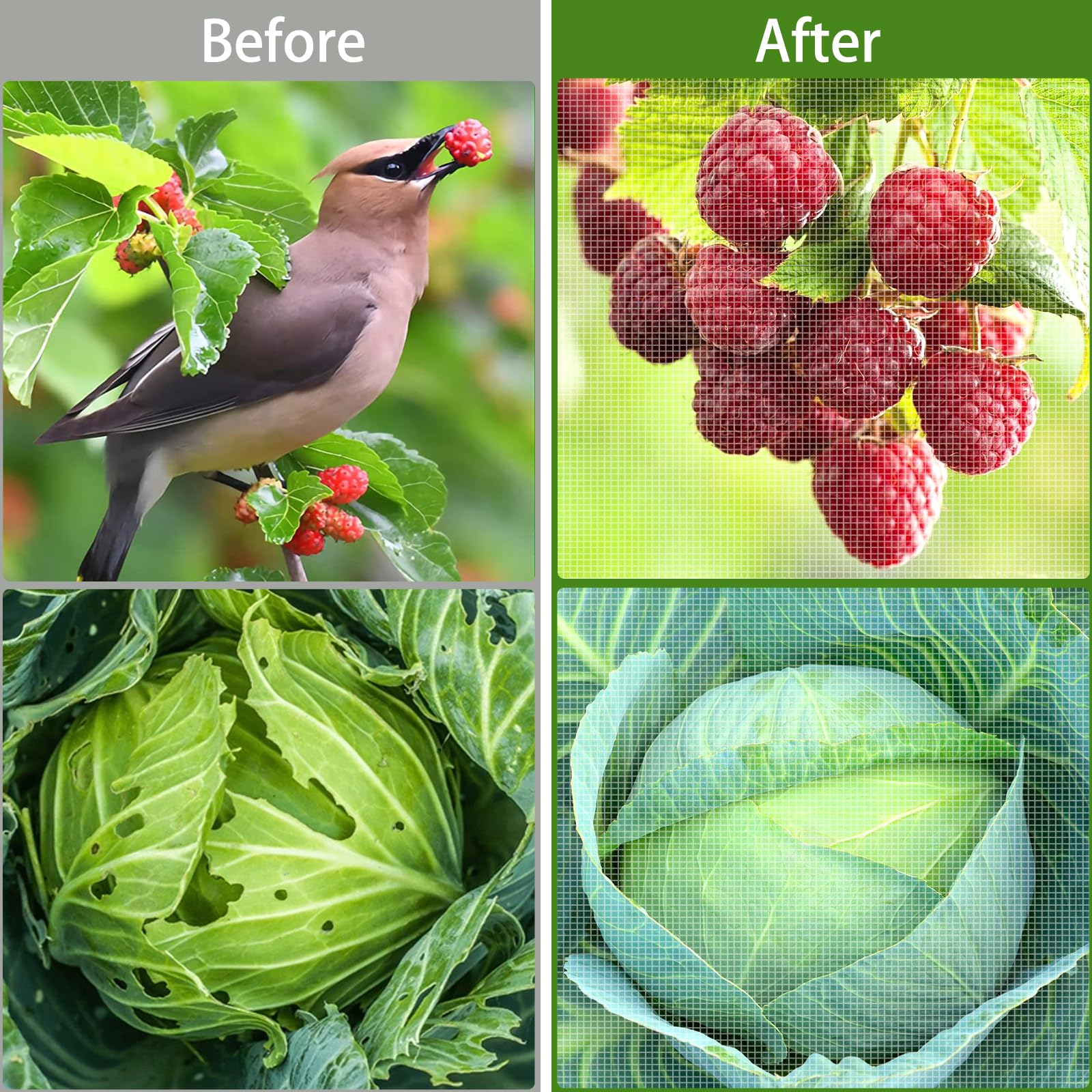 HENAYUK see-through garden netting allowing light and airflow to reach plants