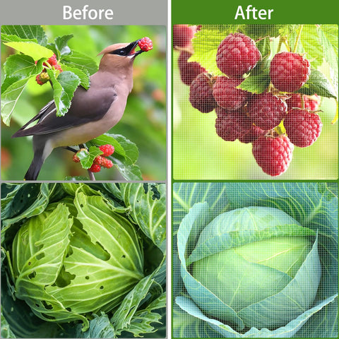 HENAYUK see-through garden netting allowing light and airflow to reach plants