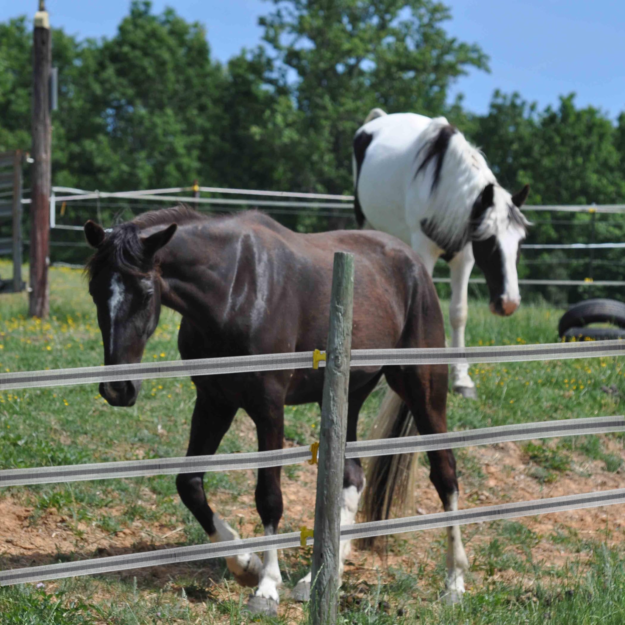 HENGTONG lightweight tape is easy to install, repair, and rewind on the farm