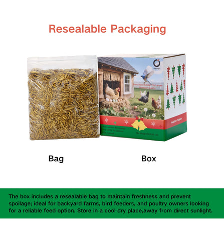 Chickens and other birds enjoy HenHalo larvae as a protein treat.